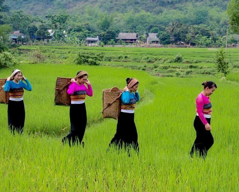 Lu'S Homestay マイチャウ エクステリア 写真